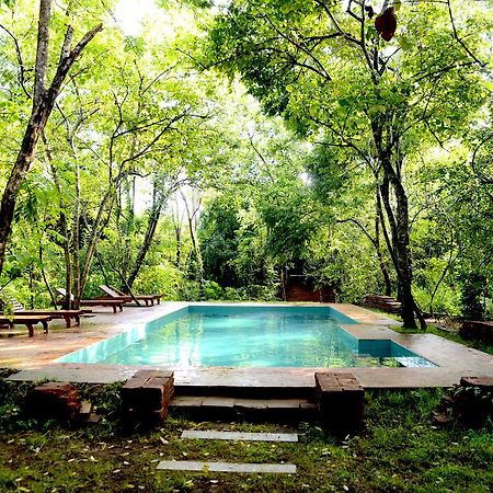 Mahagedara Wellness Retreat Hotell Avudangawa Eksteriør bilde