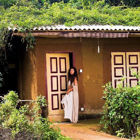 Mahagedara Wellness Retreat Hotell Avudangawa Eksteriør bilde