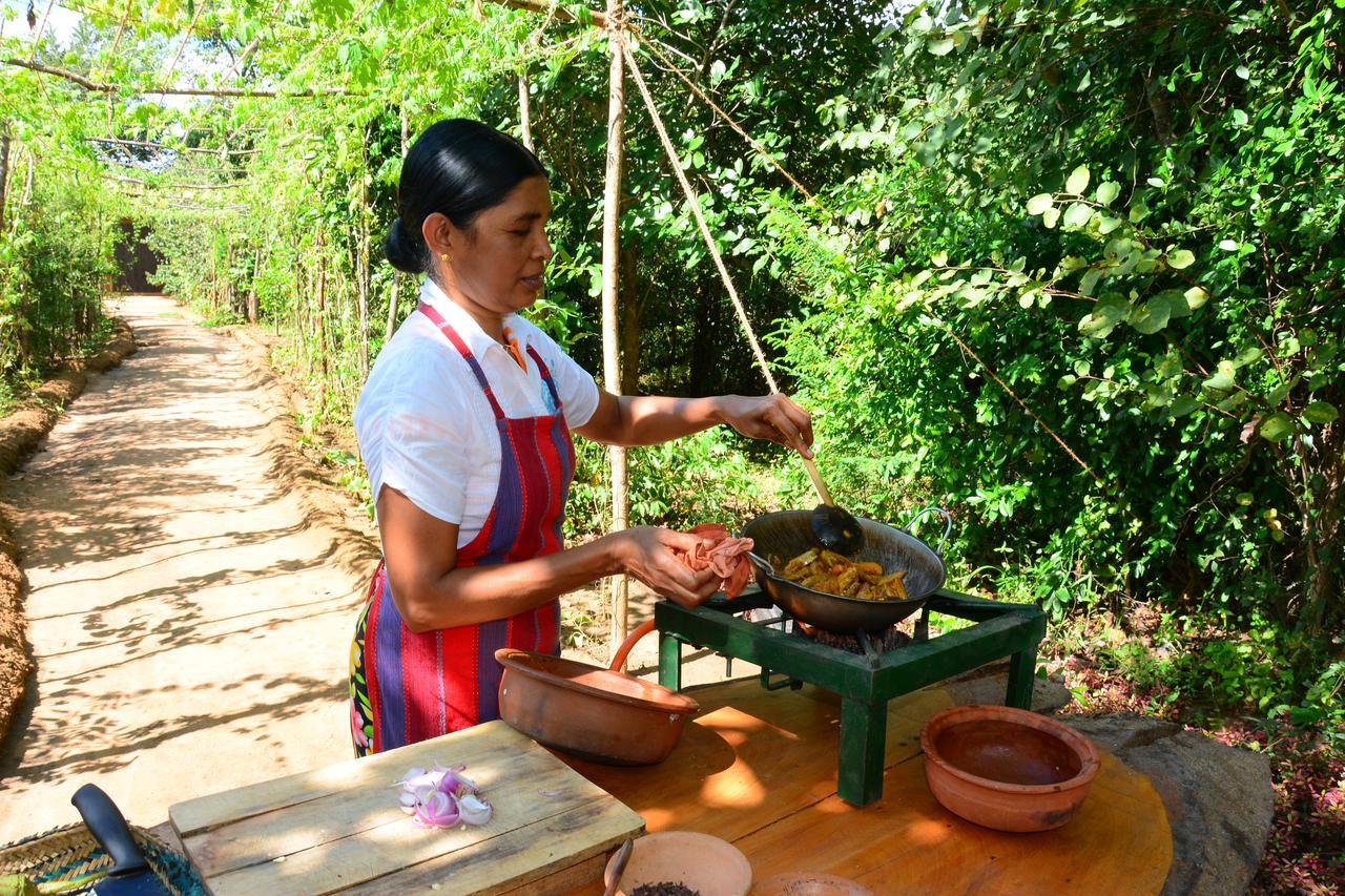 Mahagedara Wellness Retreat Hotell Avudangawa Eksteriør bilde