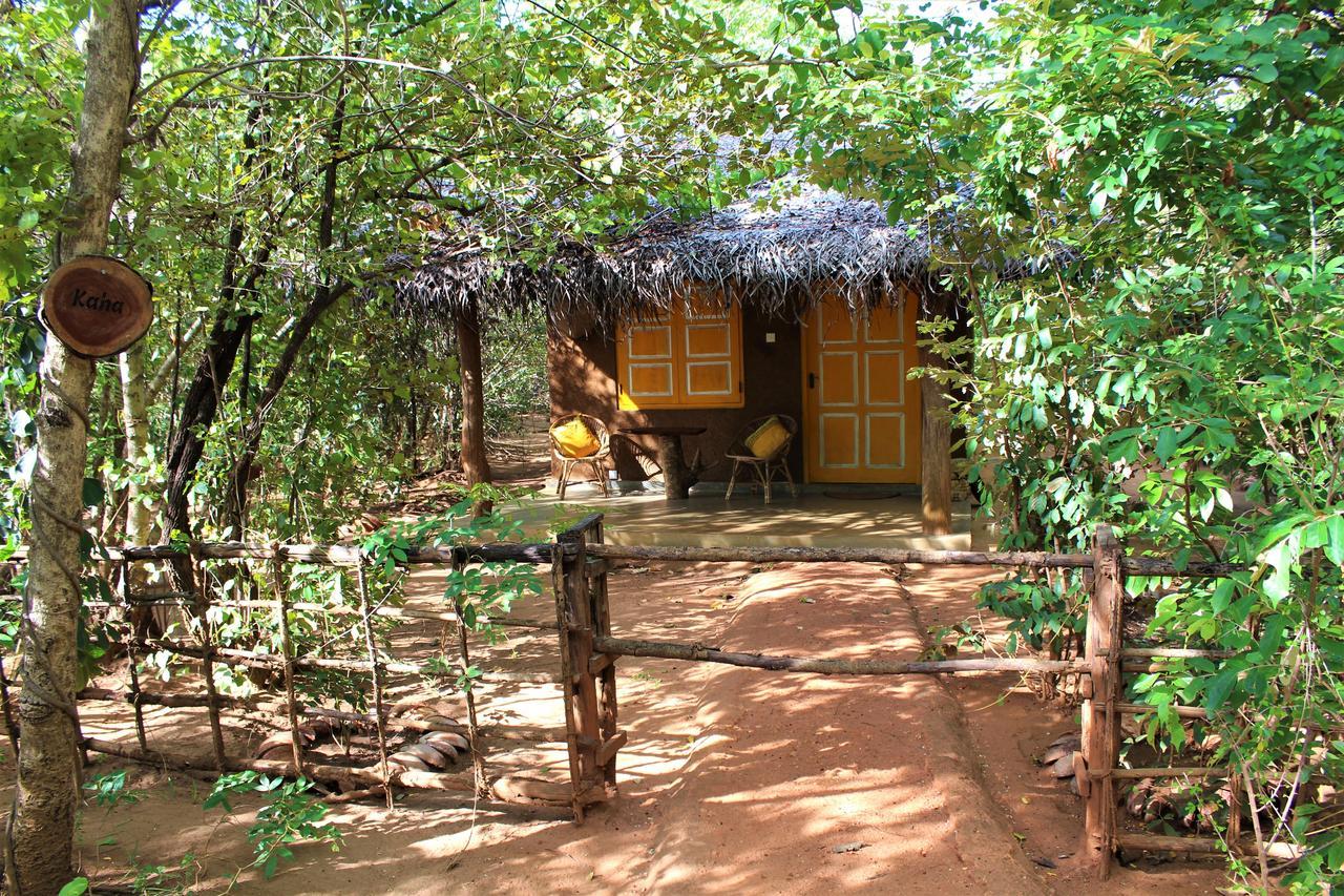Mahagedara Wellness Retreat Hotell Avudangawa Eksteriør bilde