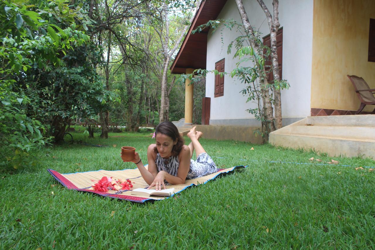 Mahagedara Wellness Retreat Hotell Avudangawa Eksteriør bilde
