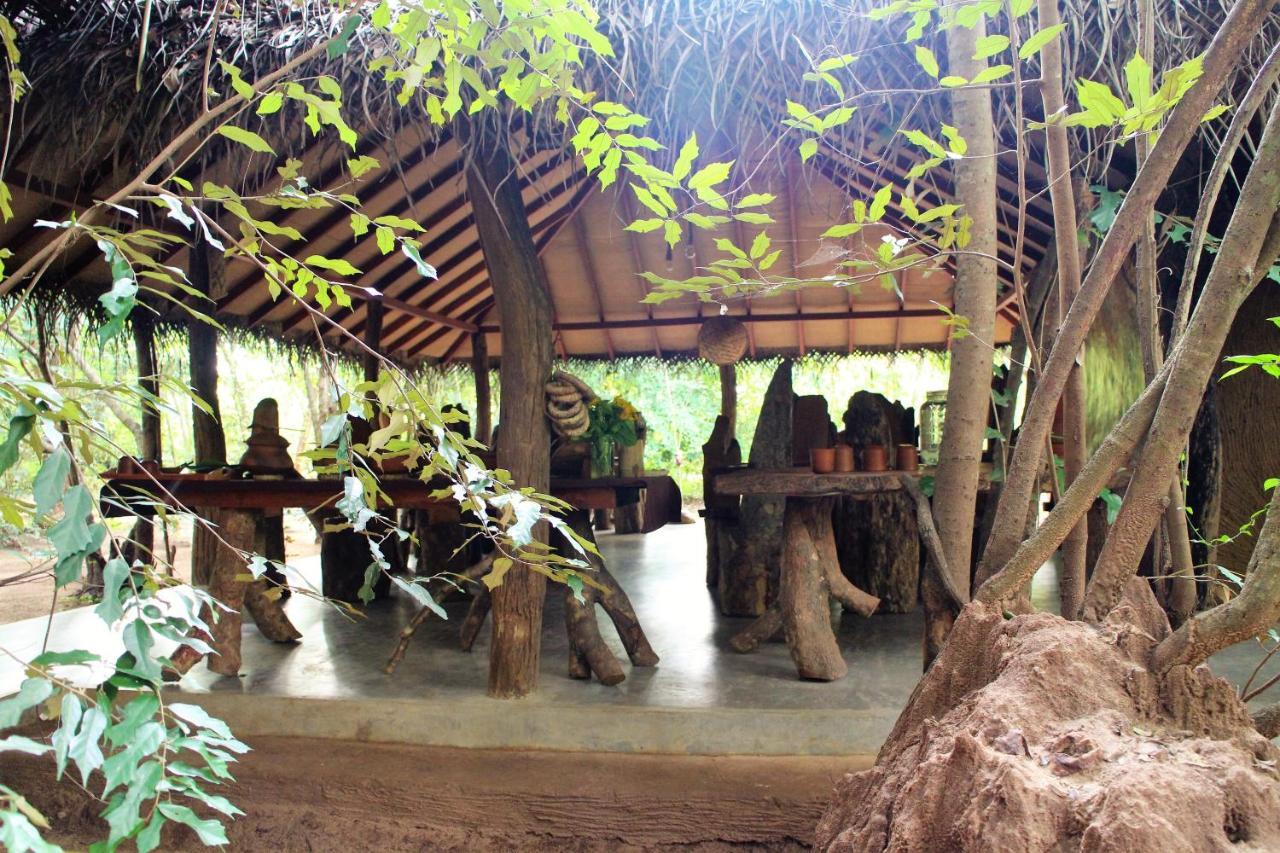 Mahagedara Wellness Retreat Hotell Avudangawa Eksteriør bilde