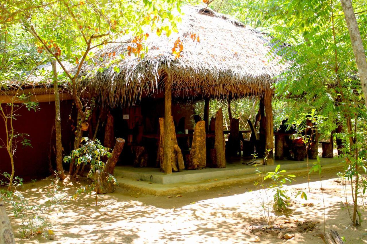 Mahagedara Wellness Retreat Hotell Avudangawa Eksteriør bilde