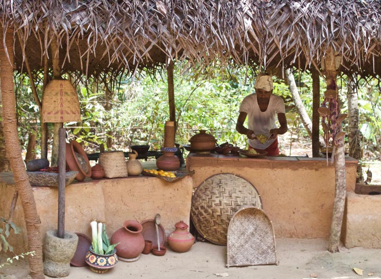 Mahagedara Wellness Retreat Hotell Avudangawa Eksteriør bilde