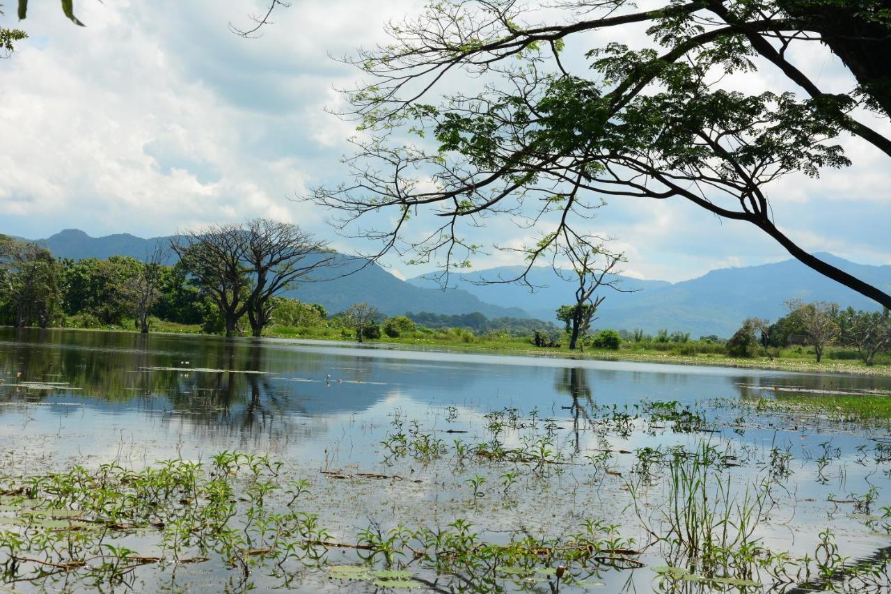 Mahagedara Wellness Retreat Hotell Avudangawa Eksteriør bilde