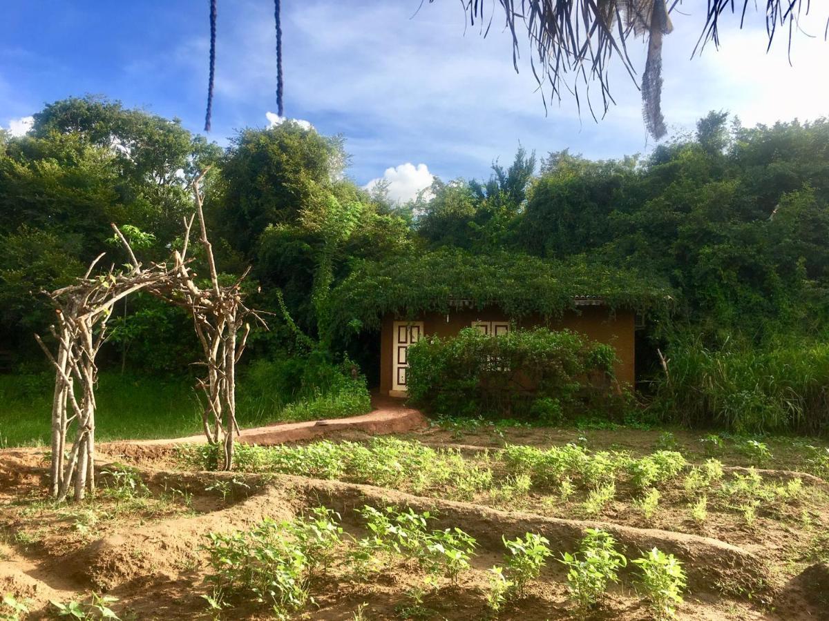 Mahagedara Wellness Retreat Hotell Avudangawa Eksteriør bilde