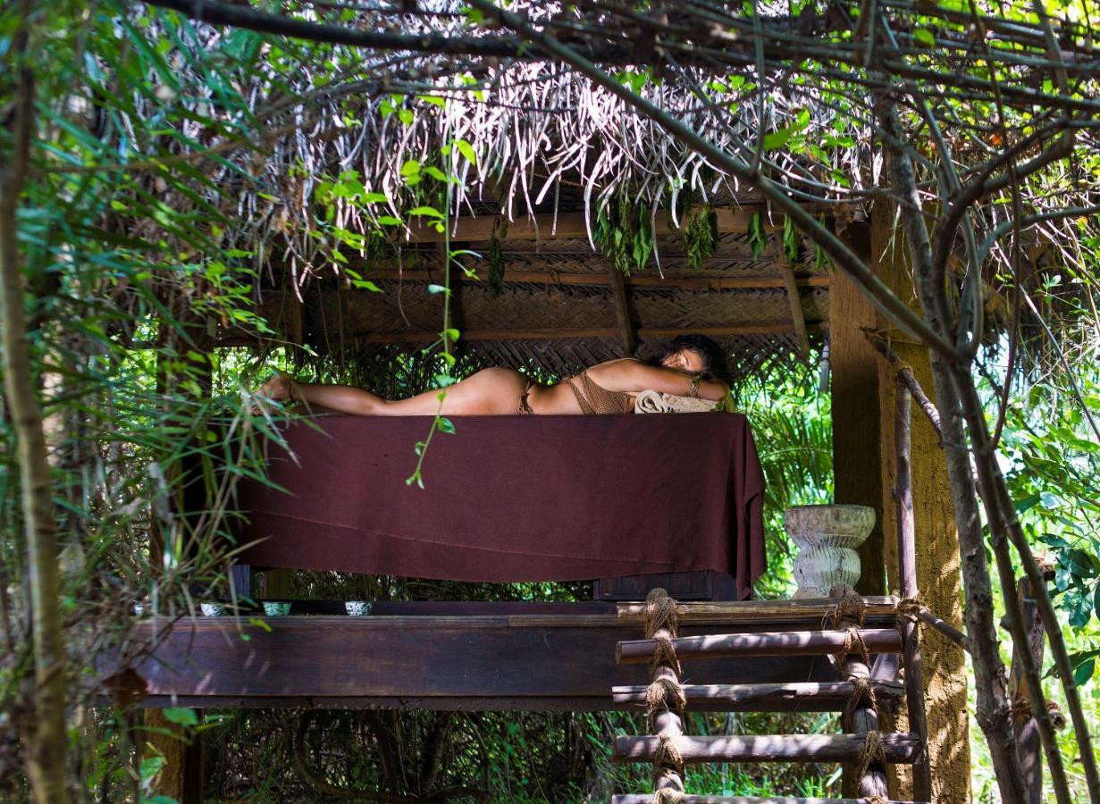 Mahagedara Wellness Retreat Hotell Avudangawa Eksteriør bilde